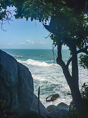 포토 JPG 해외이미지 나무 공원 파도 여행 백그라운드 자연 하늘 산 안테나 풍경 사람없음 세로 초록색 파란색 미국 콜롬비아 숲 암초 남쪽 전국 파라다이스 해외202004 해외포토 식물 공공시설 바다 컬러 북아메리카 통신 남아메리카 방향 생태계 파일형식 이미지허브