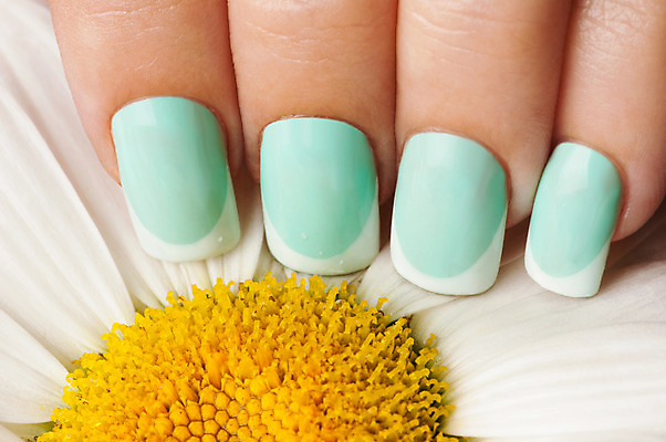 포토 JPG 해외이미지 손 손가락 미술 사람없음 장미 유행 화장품 손톱관리 손톱 데이지 돌봄 위생관리 아크릴 스타일 해외202004 해외포토 꽃 모션 재질 문화예술 관리 신체부위 뷰티 네일아트 파일형식 이미지허브