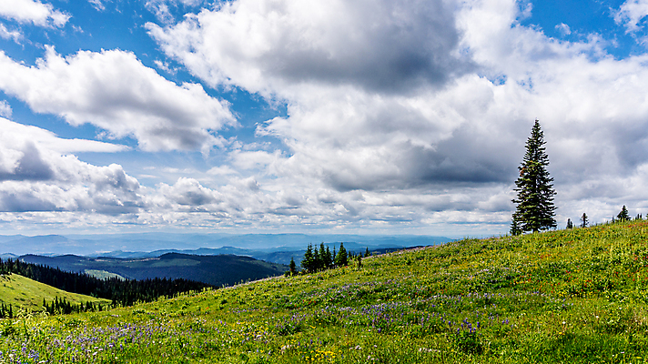 포토 JPG 해외이미지 나무 구름 꽃 캐나다 자국 자연 하늘 산 풍경 경사 사람없음 옆모습 빨간색 초록색 여름 파란색 컬러풀 맑음 페인트 하이킹 흰색 붓 개화 숲 인도인 언덕 페인트붓 장면 상록수 절정 해외202004 해외포토 자연요소 외국인 식물 계절 뷰포인트 컬러 북아메리카 레저 날씨 동양인 생태계 파일형식 이미지허브