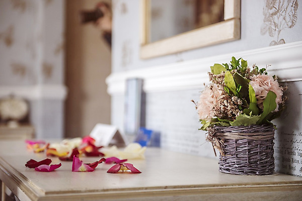 포토 JPG 해외이미지 식물 꽃잎 꽃 화분 분홍색 백그라운드 컨셉 근접촬영 사람없음 장식 컬러풀 노란색 보라색 개화 다발 원예 해외202004 해외포토 뷰포인트 컬러 취미 파일형식 이미지허브