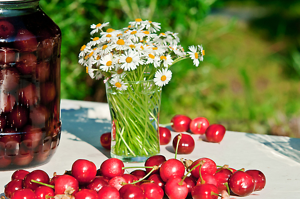 포토 JPG 해외이미지 식물 디자인 꽃 길 벽 가구 백그라운드 꽃무늬 벤치 의자 자연 탁자 휴가 휴식 거리 주택 사람없음 야외 목재 초록색 여름 태양 정원 꽃병 맑음 침묵 봄 신선 체리 데이지 내추럴 뒤뜰 캐모마일 해외202004 해외포토 자연요소 나무 계절 컬러 생활용품 컨셉 무늬 과일 재료 날씨 건물 소리 허브 생태계 파일형식 이미지허브