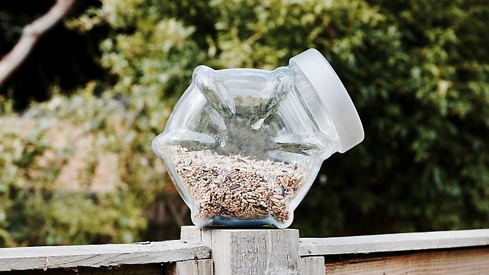 포토 JPG 해외이미지 나무 식물 음식 유리 해바라기 씨앗 사람없음 야외 초록색 정원 신선 해외202004 해외포토 꽃 컬러 재질 파일형식 이미지허브