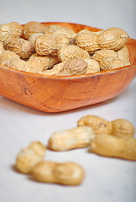 포토 JPG 해외이미지 음식 재료 탁자 건강 씨앗 사람없음 목재 갈색 견과류 껍질 흰색 신선 그룹 사발 맛 오브젝트 유기농 질감 날것 땅콩 내추럴 채식주의자 많음 해외202004 해외포토 나무 식물 웰빙 컬러 가구 컨셉 사기그릇 채식 파일형식 이미지허브