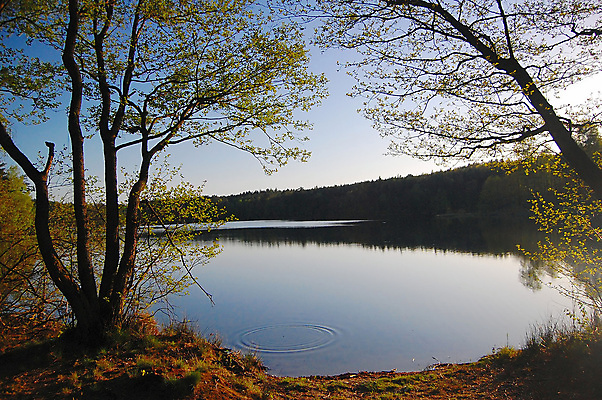 포토 JPG 해외이미지 나무 계절 호수 백그라운드 잎 자연 휴가 휴식 건강 풍경 사람없음 야외 가로 물 파란색 컬러풀 반사 침묵 일몰 가을 연못 시력 주말 폴란드 생태학 해외202004 해외포토 자연요소 식물 교육 유럽 컬러 컨셉 노을 소리 생태계 파일형식 이미지허브