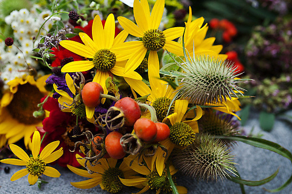 포토 JPG 해외이미지 식물 계절 꽃 꽃다발 백그라운드 오렌지 자연 포도 해바라기 국화 옥수수 이벤트 사람없음 장식 빨간색 초록색 여름 컬러풀 노란색 정원 수확 벚꽃 가을 신선 개화 우아함 다발 배열 허브 데이지 보리 도토리 추수감사절 구성 해외202004 해외포토 기독교 컬러 컨셉 농업 과일 곡류 견과류 생태계 파일형식 이미지허브