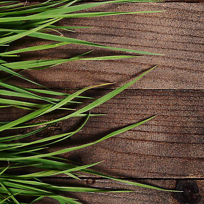 포토 JPG 해외이미지 식물 디자인 문화 벽 백그라운드 잎 패턴 자연 벽지 탁자 표면 추상 바닥 주택 프레임 사람없음 야외 건물 목재 장식 초록색 컬러풀 갈색 우주 정원 수확 골동품 신선 판넬 질감 복고 내추럴 그런지 옛날 스타일 해외202004 해외포토 나무 건축물 컬러 가구 무늬 농업 재료 생태계 파일형식 이미지허브