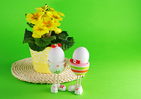 포토 JPG 해외이미지 식물 전통 커플 꽃 리본 화분 문화 음식 백그라운드 2 자연 벽지 휴가 부활절 쟁반 사람없음 초록색 노란색 계란 봄 벚꽃 흰색 반지 쌍 냄비 생물학 부드러움 프리뮬러 해외202004 해외포토 계절 교육 기념일 컬러 장신구 관계 알 감각 솥 생태계 파일형식 이미지허브