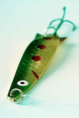 포토 JPG 해외이미지 선 스포츠 낚시 어류 취미 사람없음 금속 숟가락 반지 잡기 고리 실 닫기 유혹 오브젝트 매듭 지느러미 연어 미끼 거짓 돌리기 베이스 송어 인공 해외202004 해외포토 컨셉 장신구 모션 재질 현악기 레저 수저 수중동물 파일형식 이미지허브