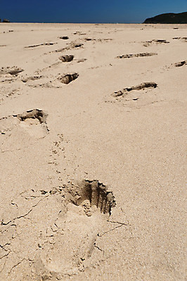 포토 JPG 해외이미지 모래 여행 자국 발 사람없음 걷기 하이킹 발자국 해외202004 해외포토 모션 레저 신체부위 파일형식 이미지허브