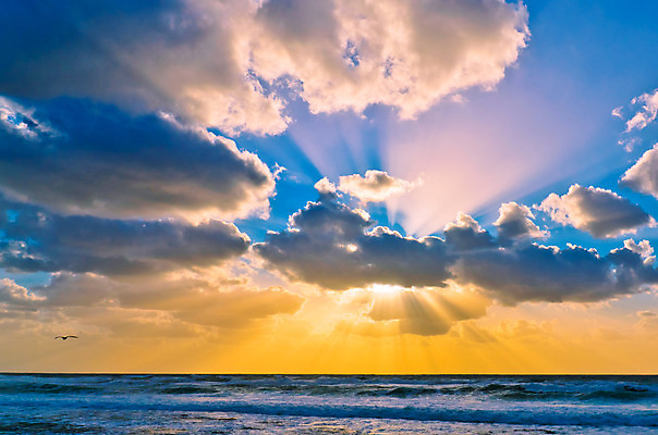 포토 JPG 해외이미지 구름 계절 파도 바다 여행 백그라운드 오렌지 자연 갈매기 조류 하늘 휴가 휴식 그림자 풍경 사람없음 야외 물 여름 파란색 빛 컬러풀 햇빛 태양 노란색 평화 일출 황혼 일몰 새벽 서핑 황금 저녁 휴양지 내추럴 수평선 해외202004 해외포토 자연요소 동물 컬러 컨셉 과일 노을 장소 수상스포츠 야간 생태계 파일형식 이미지허브