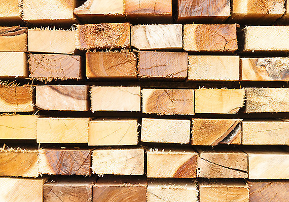 포토 JPG 해외이미지 나무 산업 백그라운드 겨울 패턴 자연 불 사람없음 야외 목재 갈색 쌓기 환경 에너지 시골 반지 소나무 원형 거친 닫기 숲 장작 자르기 묘사 질감 날것 통나무 나무껍질 연료 자원 잡동사니 흙더미 내추럴 벌목 수목 많음 해외202004 해외포토 자연요소 도형 식물 계절 컬러 컨셉 무늬 재료 장신구 모션 흙 껍질 생태계 파일형식 더미 이미지허브