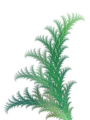 포토 JPG 해외이미지 식물 디자인 선 백그라운드 컨셉 꽃무늬 패턴 일러스트 추상 미술 사람없음 그래픽 초록색 빛 3D 질감 역동적 만들기 발생 블러 양치류 효과 해외202004 해외포토 꽃 컬러 무늬 모션 문화예술 디지털합성 파일형식 이미지허브