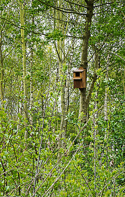 포토 JPG 해외이미지 나무 자연 조류 주택 사람없음 야외 상자 둥지 서식지 해외202004 해외포토 식물 동물 건물 생태계 파일형식 이미지허브
