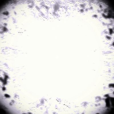 포토 JPG 해외이미지 디자인 배너 포스터 종이 벽 백그라운드 패턴 벽지 추상 프레임 창조 사람없음 장식 빛 컬러풀 우주 어둠 페인트 공백 수확 골동품 흰색 얼룩 그리기 균열 우아함 편지 고민 질감 복고 역동적 내추럴 그런지 양피지 엘리먼트 옛날 회복 효과 해외202004 해외포토 감정 컬러 컨셉 무늬 농업 모션 파일형식 이미지허브