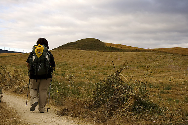 포토 JPG 해외이미지 구름 도로 밭 농업 휴가 건조 파노라마 옥수수 풍경 사람없음 여름 농작물 농장 흙 하이킹 수확 시골 스페인 볏짚 밀 만취 귀 철사 밀짚 밭일 산티아고 순례 스페인어 주장 해외202004 해외포토 자연요소 계절 유럽 산업 길 교통시설 레저 곡류 촬영기법 신체부위 짚 술취함 파일형식 이미지허브