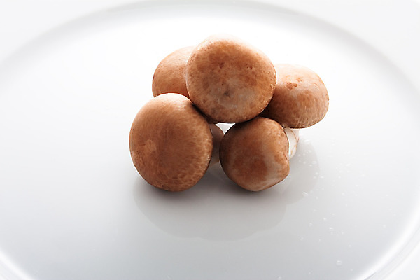 포토 JPG 해외이미지 음식 재료 건강 사람없음 버섯 신선 맛 날것 곰팡이 식용 해외202004 해외포토 컨셉 파일형식 이미지허브