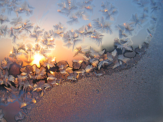 포토 JPG 해외이미지 계절 분홍색 백그라운드 크리스마스 겨울 창문 자연 유리 아침 날씨 추상 새로움 사람없음 파란색 빛 반짝임 햇빛 태양 일출 얼음 일몰 추위 신선 시원함 크리스탈 연도 즐거움 질감 서리 상승 온도 내추럴 반투명 해외202004 해외포토 주간 자연요소 기념일 감정 컬러 컨셉 무늬 모션 재질 노을 광석 생태계 파일형식 이미지허브