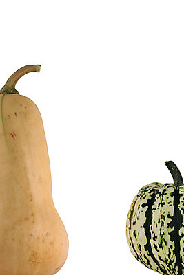 포토 JPG 해외이미지 식물 음식 줄기 채소 사람없음 흰색 원형 스쿼시 고립 해외202004 해외포토 도형 스포츠 컬러 구기 파일형식 이미지허브