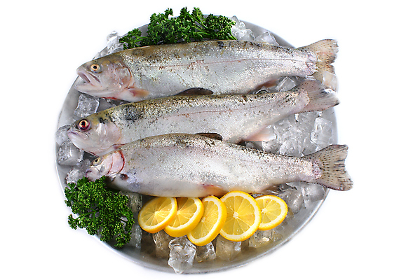 포토 JPG 해외이미지 동물 1 접시 음식 백그라운드 다이어트 자연 건강 3 어류 사람없음 옆모습 장식 가로 빨간색 초록색 얼음 침묵 추위 흰색 신선 먹기 레몬 가득함 준비 싱글 유기농 눈금 꼬리 날것 냄새 지느러미 후추 길이 고립 송어 해외202004 해외포토 자연요소 식기 웰빙 뷰포인트 컬러 과일 모션 수중동물 소리 향신료 생태계 파일형식 이미지허브