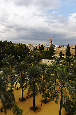 포토 JPG 해외이미지 나무 구름 외관 유럽 지붕 주택 안테나 손바닥 사람없음 야외 도시풍경 탑 도시 스페인 옥상 모스크 타운 스카이라인 스페인어 안달루시아 해외202004 해외포토 자연요소 식물 건축물 손 나라 통신 풍경 건물 이슬람교 파일형식 이미지허브