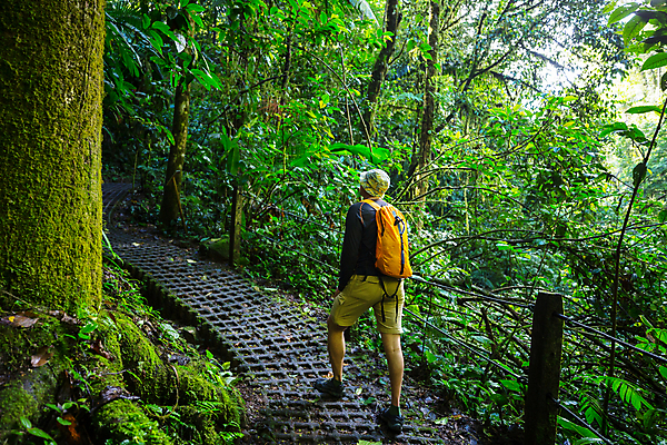 포토 JPG 해외이미지 나무 식물 공원 길 여행 자국 자연 산 매달리기 한명 풍경 야외 초록색 여름 여행객 환경 미국 트래킹 폭포 하이킹 관찰 숲 오솔길 열대우림 지역 내추럴 방법 백패커 산악가 전국 코스타리카 하이커 혼자 해외202004 해외포토 1 계절 공공시설 컬러 북아메리카 모션 레저 사람 중앙아메리카 생태계 파일형식 이미지허브