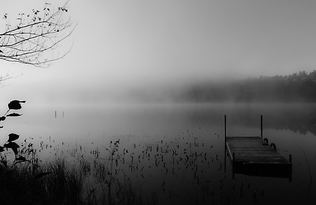 포토 JPG 해외이미지 나무 호수 잎 하늘 아침 흑백 사람없음 물 파란색 평화 일출 항구 수영 침묵 새벽 안개 나뭇가지 황무지 습지 숲 신비 속도 초대 깊이 뿌연 해외202004 해외포토 주간 자연요소 식물 컬러 컨셉 교통시설 날씨 촬영기법 노을 소리 수상스포츠 파일형식 이미지허브