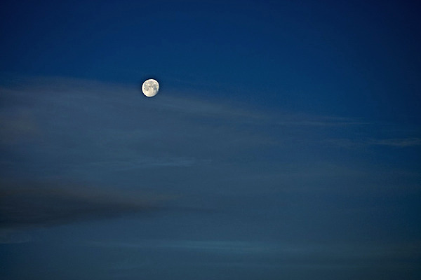 포토 JPG 해외이미지 지구 백그라운드 하늘 풍경 사람없음 파란색 빛 우주 어둠 황혼 인공위성 달 야간 신비 달빛 가득함 코스모스 점성술 천문학 천국 해외202004 해외포토 자연요소 교육 꽃 컬러 컨셉 통신 일몰 파일형식 이미지허브