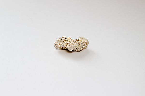 포토 JPG 해외이미지 바다 백그라운드 자연 건조 사람없음 검은색 수중 흰색 산호 오브젝트 생물학 화석 암초 내추럴 고립 이국적 해외202004 해외포토 교육 컬러 자포동물 생태계 파일형식 이미지허브