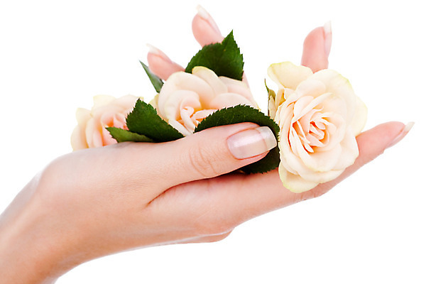 포토 JPG 해외이미지 손 여자 꽃 무기 꽃무늬 손가락 친절 건강 관리 사람없음 장미 스파 엄지손가락 벚꽃 흰색 신선 못 투명 우아함 손톱관리 손톱 피부 순수 부드러움 광택 스킨케어 내추럴 프랑스어 고립 니스 돌봄 완전 해외202004 해외포토 식물 문자 컬러 컨셉 무늬 모션 사람 신체부위 뷰티 공구 감각 네일아트 파일형식 이미지허브