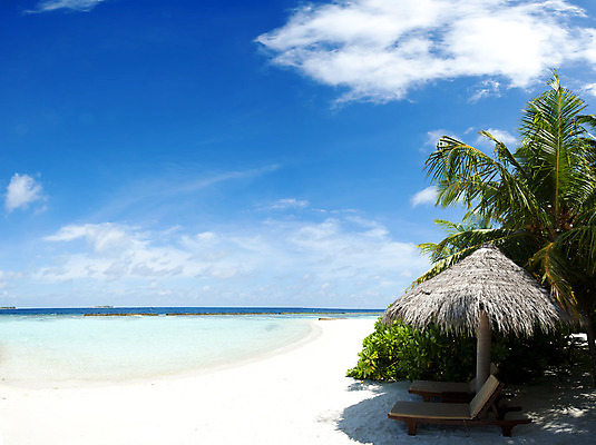 포토 JPG 해외이미지 모래 바다 섬 여행 잎 우산 자연 하늘 휴가 휴식 파노라마 손바닥 풍경 사람없음 파란색 맑음 흰색 싱글 휴양지 양산 코코넛 몰디브 이국적 터키석 파라다이스 해외202004 해외포토 식물 손 아시아 컬러 컨셉 과일 날씨 촬영기법 장소 보석 생태계 파일형식 이미지허브