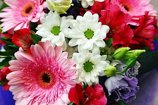 포토 JPG 해외이미지 전통 커플 꽃 행복 분홍색 꽃다발 결혼 잎 결혼식 국화 사랑 이벤트 사람없음 내부 장식 방 벚꽃 흰색 축하 다발 기회 데이지 약혼 접수 통일 히아신스 해외202004 해외포토 식물 감정 컬러 컨셉 관계 약속 파일형식 이미지허브