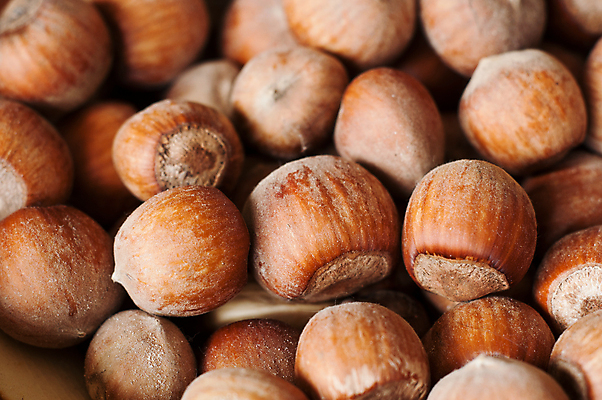 포토 JPG 해외이미지 식물 음식 백그라운드 일러스트 재료 자연 건강 씨앗 사람없음 갈색 견과류 흰색 오브젝트 유기농 질감 내추럴 헤이즐넛 해외202004 해외포토 웰빙 컬러 생태계 파일형식 이미지허브