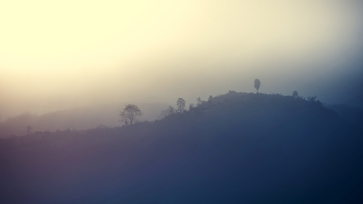 포토 JPG 해외이미지 나무 구름 공원 여행 백그라운드 잎 자연 하늘 아침 산 풍경 사람없음 야외 초록색 일출 환경 일몰 새벽 안개 숲 공상 내추럴 뿌연 전국 절정 해외202004 해외포토 주간 자연요소 식물 공공시설 컬러 날씨 노을 생태계 파일형식 이미지허브