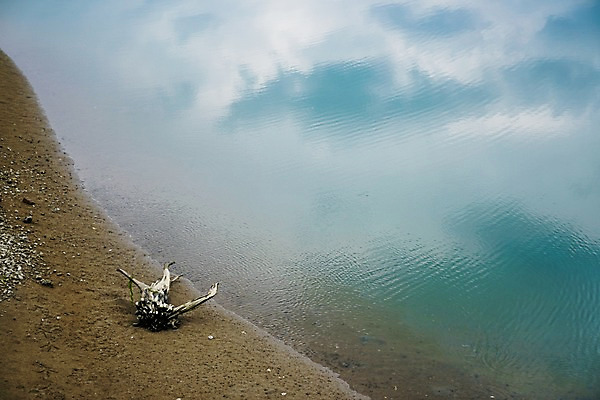 포토 JPG 주간 구름 자연 하늘 물그림자 풍경 해변 사람없음 야외 고목 국내포토 자연요소 나무 바다 그림자 생태계 파일형식