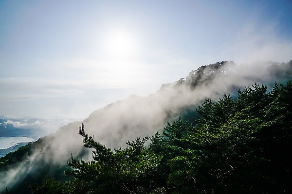 포토 JPG 주간 나무 구름 자연 하늘 산 풍경 사람없음 야외 숲 국내포토 자연요소 식물 생태계 파일형식