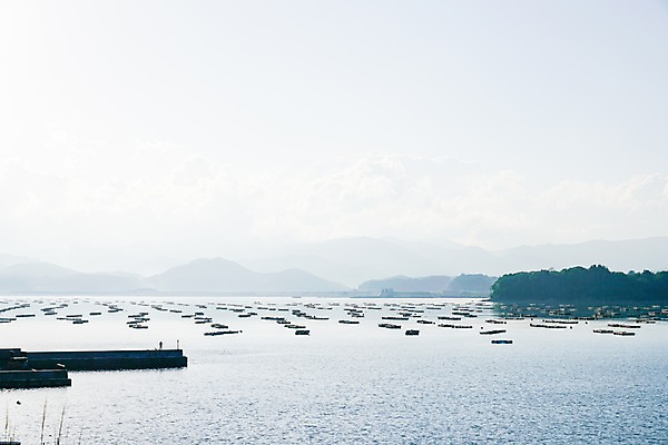 포토 JPG 주간 구름 바다 자연 하늘 산 풍경 사람없음 야외 양식장 국내포토 자연요소 시설 생태계 파일형식