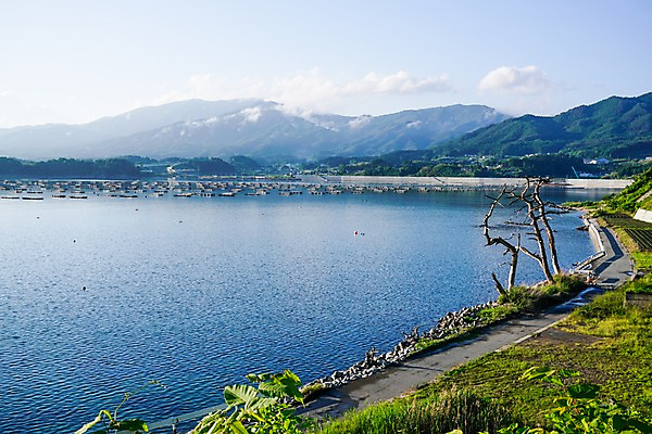 포토 JPG 주간 나무 구름 바다 자연 하늘 산 풍경 사람없음 야외 양식장 국내포토 자연요소 식물 시설 생태계 파일형식
