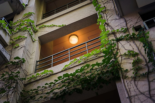 포토 JPG 주간 건축물 로우앵글 난간 조명 풍경 사람없음 야외 담쟁이덩굴 국내포토 자연요소 건축 뷰포인트 덩굴 파일형식