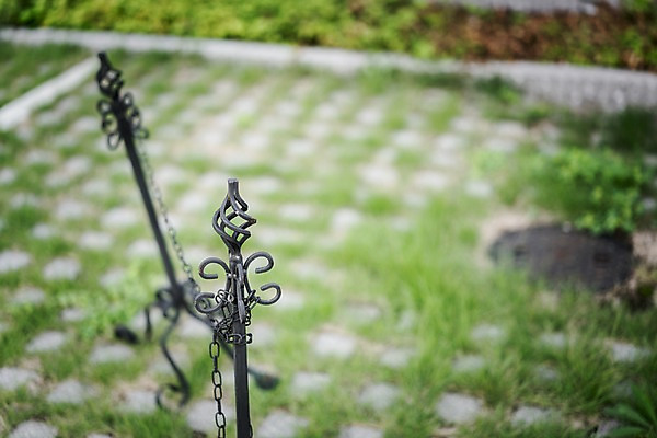 포토 JPG 주간 풍경 사람없음 야외 아웃포커스 정원 쇠사슬 국내포토 자연요소 촬영기법 파일형식