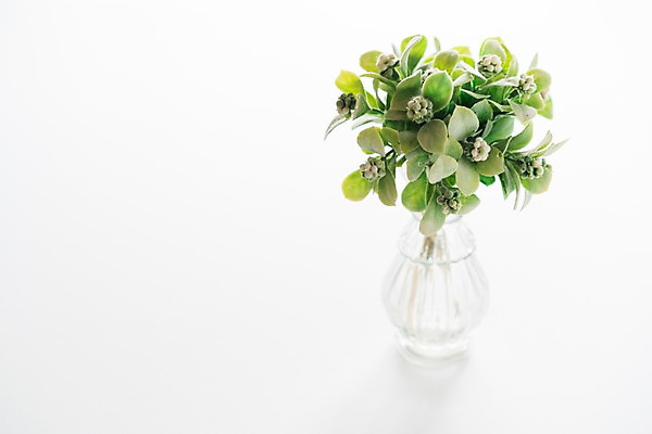 포토 JPG 스튜디오촬영 유리병 실내 사람없음 장식 꽃병 오브젝트 흰배경 조화 국내포토 꽃 백그라운드 병_용기 내부 흰색 파일형식