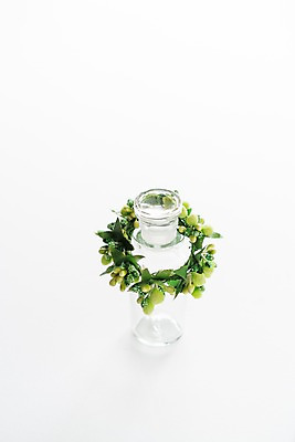 포토 JPG 스튜디오촬영 유리병 실내 사람없음 장식 오브젝트 흰배경 조화 리스장식 국내포토 백그라운드 병_용기 내부 흰색 파일형식