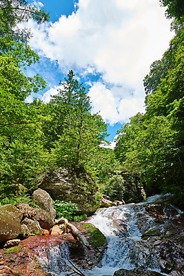 포토 JPG 주간 나무 구름 자연 하늘 풍경 사람없음 야외 계곡 맑음 바위 숲 물흐름 국내포토 자연요소 식물 날씨 흐름 돌_바위 생태계 파일형식