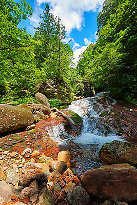 포토 JPG 주간 나무 구름 자연 하늘 풍경 사람없음 야외 계곡 맑음 바위 숲 물흐름 국내포토 자연요소 식물 날씨 흐름 돌_바위 생태계 파일형식