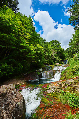포토 JPG 주간 나무 구름 자연 하늘 풍경 사람없음 야외 계곡 맑음 폭포 바위 숲 물흐름 국내포토 자연요소 식물 날씨 흐름 돌_바위 생태계 파일형식