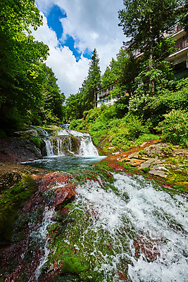 포토 JPG 주간 나무 구름 자연 하늘 풍경 사람없음 야외 계곡 맑음 폭포 숲 산장 물흐름 국내포토 자연요소 식물 날씨 흐름 생태계 파일형식