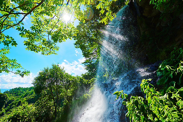 포토 JPG 주간 나무 구름 로우앵글 자연 하늘 풍경 사람없음 야외 햇빛 계곡 맑음 폭포 바위 물흐름 국내포토 자연요소 식물 뷰포인트 날씨 태양 흐름 돌_바위 생태계 파일형식