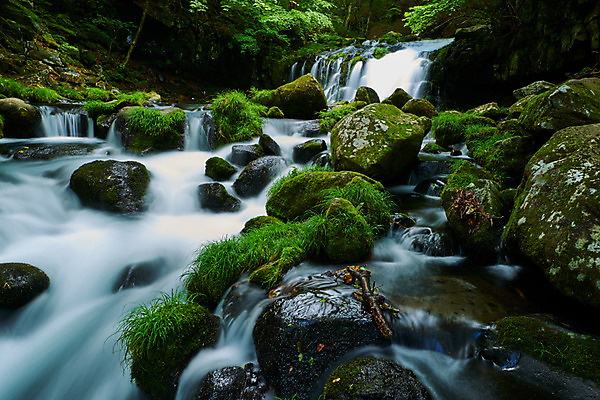 포토 JPG 주간 나무 자연 이끼 풍경 사람없음 야외 계곡 폭포 바위 숲 물흐름 국내포토 자연요소 식물 흐름 돌_바위 생태계 파일형식