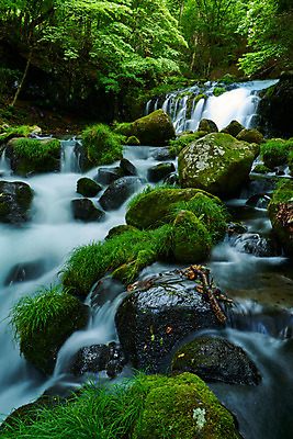 포토 JPG 주간 나무 자연 이끼 풍경 사람없음 야외 계곡 폭포 바위 숲 물흐름 국내포토 자연요소 식물 흐름 돌_바위 생태계 파일형식
