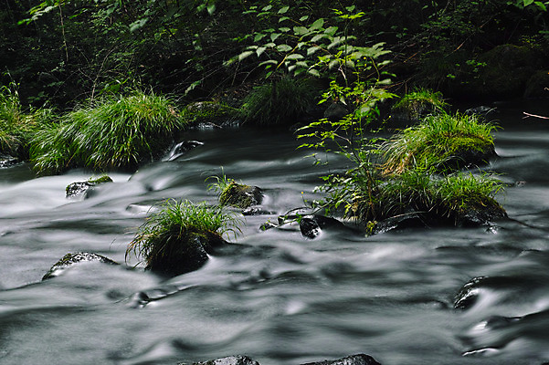 포토 JPG 주간 자연 풍경 사람없음 야외 계곡 바위 잡초 물흐름 국내포토 자연요소 식물 흐름 돌_바위 생태계 파일형식