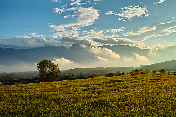 포토 JPG 주간 나무 구름 자연 하늘 산 풍경 초원 사람없음 야외 국내포토 자연요소 식물 생태계 파일형식